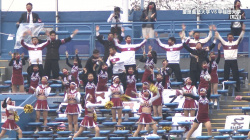 【画像】東京六大学野球のチアガールがめっちゃエロい…露出多くてムラムラしてしまった件！の画像