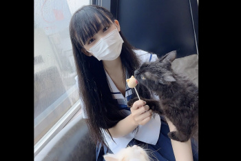【無修正シロウト動画】Ｊ系セーラーコス姿シロウト黒髪女子と猫カフェ行った後ハメ撮り！生えかけ陰毛お○んこ丸見えに興奮！続き後半最後はやはり生中出し！の画像