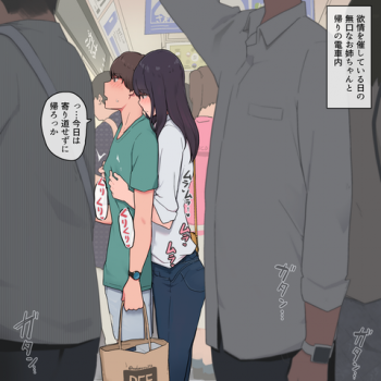 【画像】電車の中の姉、エロすぎるの画像