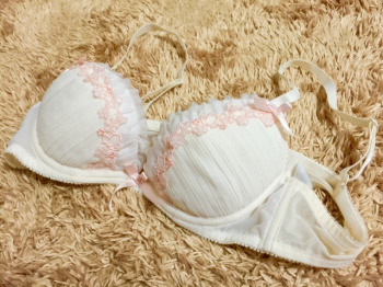 JCの妹（14）の使用済み下着晒していくｗｗｗｗｗｗの画像