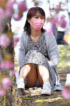 スカートでお花見する女子が次々にパンチラ盗撮師の餌食に！【画像】の画像