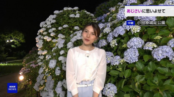 豊島実季アナ、透けキャミおっぱいプルルーンいやらしい体しやがっての画像