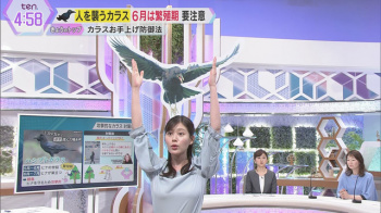 足立夏保アナ、おっぱいしゅごい！カタチが透けて見えるタマランなの画像