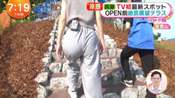 阿部華也子アナ、お尻パンティ線見えなTバック履いてるなエッロ女やの画像