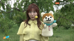 黒田菜月アナ、透けブラウス黄おっぱいデッカ！なんちゅうYCしとるんやの画像
