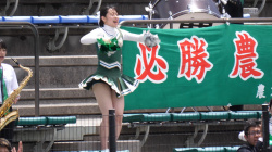【JD/チア】東京農業大学チアリーダー部の女子大生のハミパンチラの画像