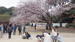 お姉さんのパンチラの画像