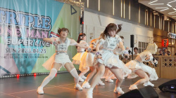 アイドルのハミパンチラの画像