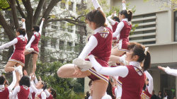 【YouTube】早稲田大学チアリーダーのパンチラ動画の画像
