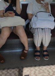 【電車対面】仕事の疲れを癒やしてくれる対面パンチラエロ画像の画像