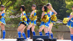 【画像】熟女チアガール、半分以上イケるwwwの画像