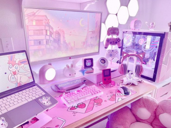 【画像】女子のゲーミング部屋、エチエチすぎるｗｗｗの画像