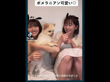 パンチラ配信事故 #shorts #TikTok #Twitter shortsの画像