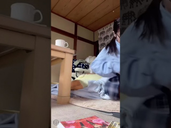TikTok live jk パンチラ 女子高生 高校生の画像