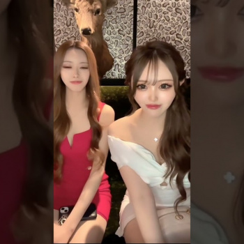 パンチラ胸チラ220の画像