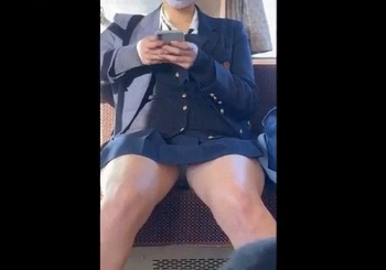 《盗撮動画》ガチ素人リーマン撮影の電車対面パンチラ！ターゲットは上玉美少女な制服女子ちゃんの画像