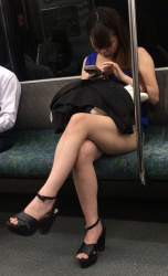 【画像】電車でミニスカ短パンでリーマンを挑発する女さんたちの画像