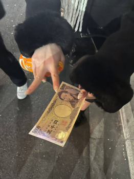 【P活女子画像】おぢと飯食ったりするだけ金貰えるパパ活女子が人生イージー過ぎるｗｗの画像