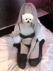 【P活女子画像】チンポマックスになるパパ活女子の下着姿がたまらん！！の画像