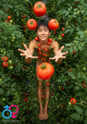2025年8月パックの画像
