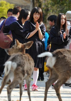 街撮りセーラー服イモKawaii！の画像