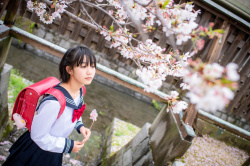 制服美少女！の画像