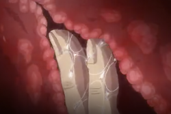 キタ━━━━(゚∀゚)━━━━!!めちゃエチヒロインが敗北〇姦されまくる!!!の画像