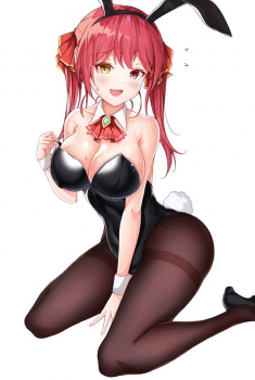 【二次】エッチなカラダしてる黒タイツバニーガールの画像【黒スト】の画像