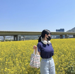【画像】女の子「ねー見て見てこの綺麗なタンポポ畑！」ﾊﾟｼｬｯの画像