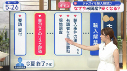 【画像】三山賀子アナ　ノースリーブの脇と巨乳！！ GIF動画ありの画像