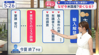 【画像】三山賀子アナ　ノースリーブの脇と巨乳！！ GIF動画ありの画像