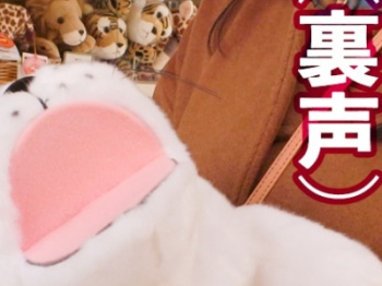 超かわいい娘がハメ潮で種付けファック!!【素人✕潮吹き】【もっとおち❍ぽお！】の画像