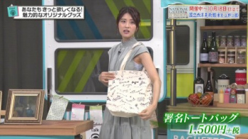女子アナのエッロい腋マ●コ＆ガッツリ放送事故セクシー画像(日テレ編)の画像