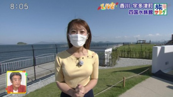 地方局アナのニットパイが気になって水族館に集中できないの画像
