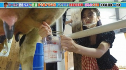 島崎遥香さん、乳搾りで大量に発射させてしまうの画像