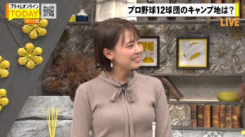 宮澤智アナ こういうのでいいんだよっていう胸の画像