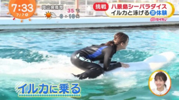 井上清華アナ イルカに騎乗するお尻がデカすぎるの画像