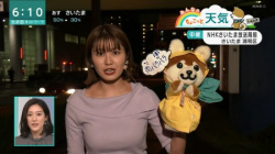 NHK気象予報士さん、長身美女の容赦ないニットパイの画像