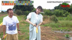 田中瞳アナ、立派なトウモロコシをしごいてしまうの画像
