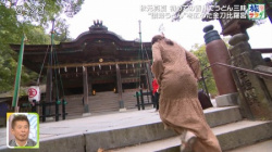 秋元真夏さん、旅番組であざとくお尻と谷間を見せつけるの画像