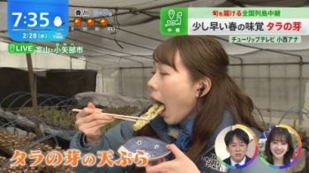 地方局の女子アナさん、全国各地で素材を提供してしまうの画像