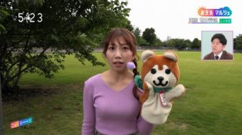 NHK気象予報士さん、けしからんニットパイを揺らしてくるの画像