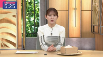 森山みなみアナ、ニットパイのボーダー柄を歪ませてしまうの画像