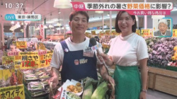 【画像】ひるおびリポーターさん、アキダイで完熟ボディを見せつけるwwwwwの画像