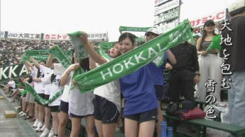 【画像】北海道の可愛すぎるギャルさん、甲子園で発見されるｗｗｗｗｗの画像