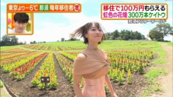 【GIF動画】テレ朝の気象予報士さん、日テレでたっぷりお乳を披露するwwwwwの画像