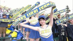 【GIF動画】宮城の可愛すぎるチアさん、甲子園で発見されるの画像