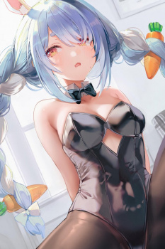 【二次】バニーガール画像　その１８の画像