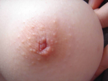 陥没乳首のエッチな画像まとめの画像
