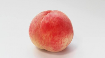 見てよこの桃のようなプリップリのお尻！！！の画像